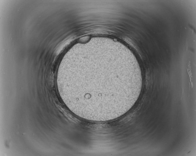 X0000102781067200809151057