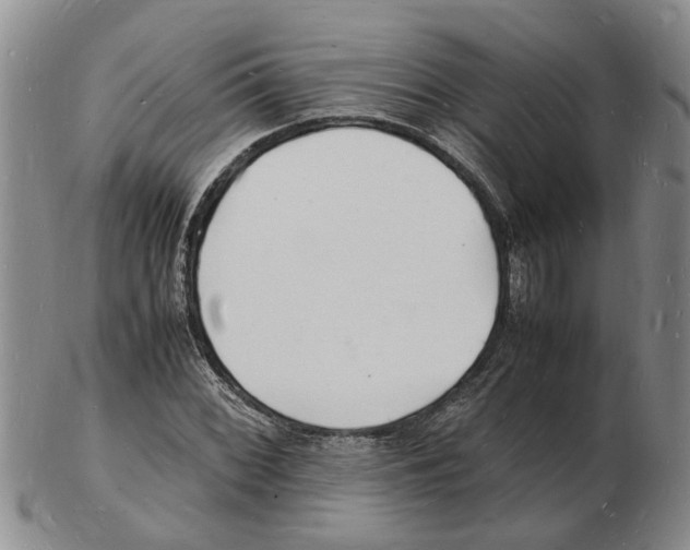 X0000102781068200809151057