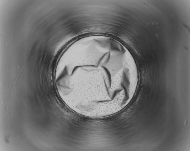 X0000102781070200809151057