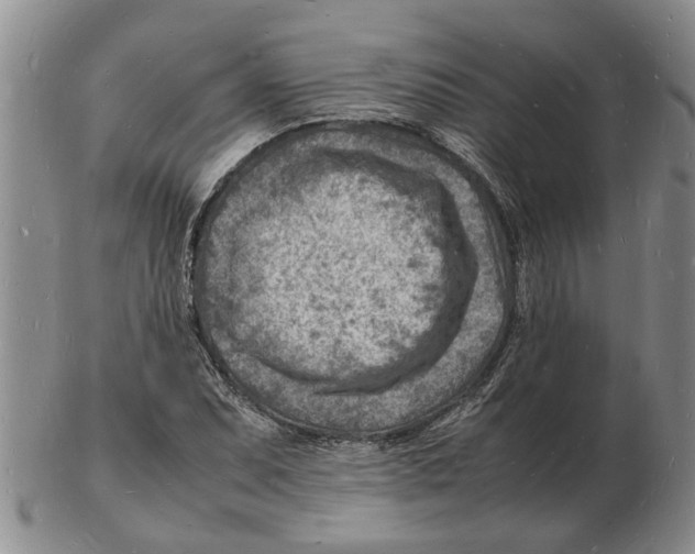 X0000102781071200809151057