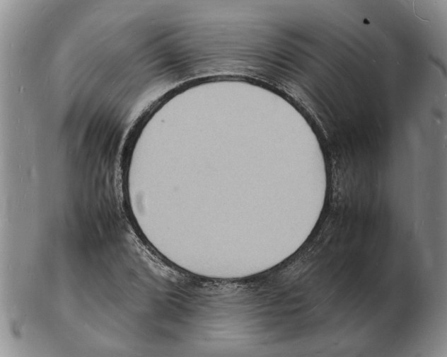 X0000102781072200809151057