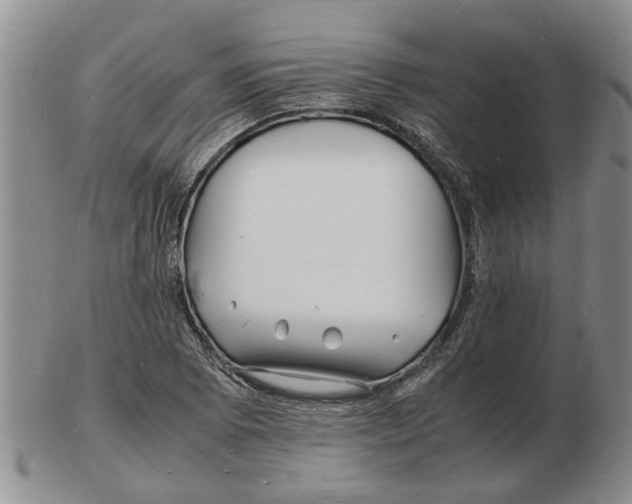 X0000102781073200809151057