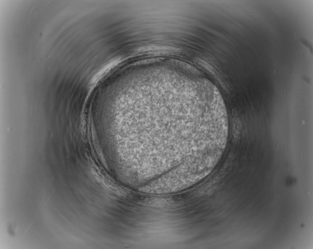 X0000102781074200809151057