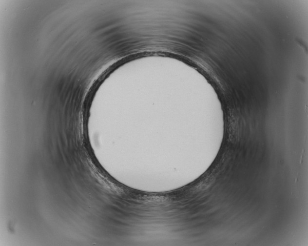 X0000102781076200809151057