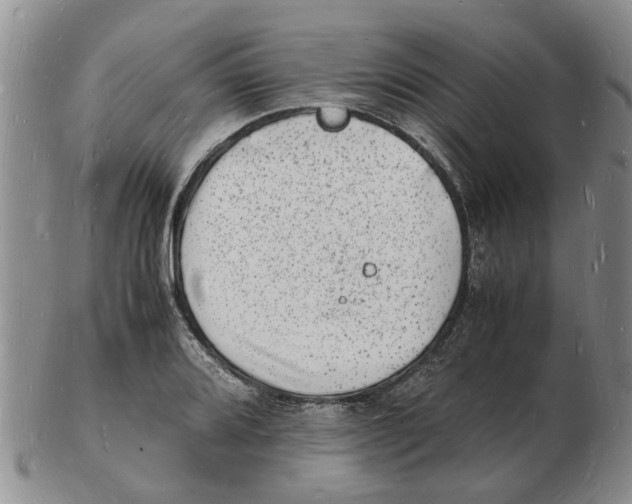 X0000102781080200809151057