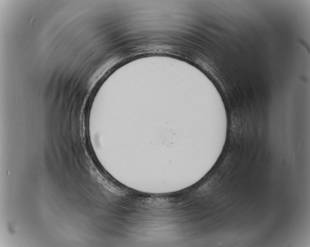 X0000102781082200809151057