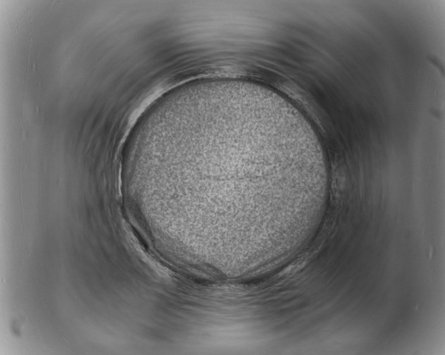 X0000102781083200809151057