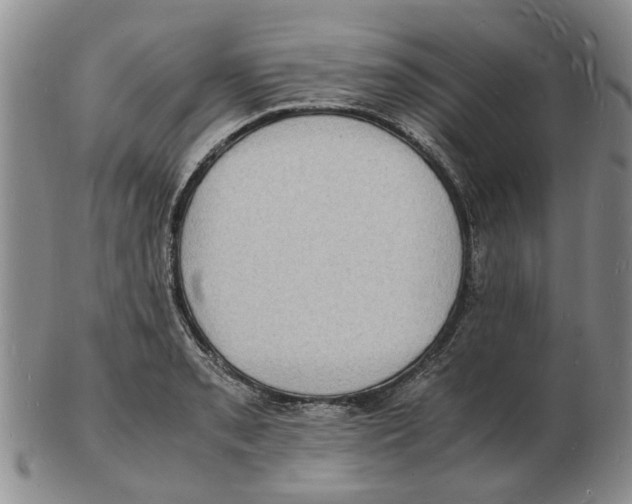 X0000102781085200809151057