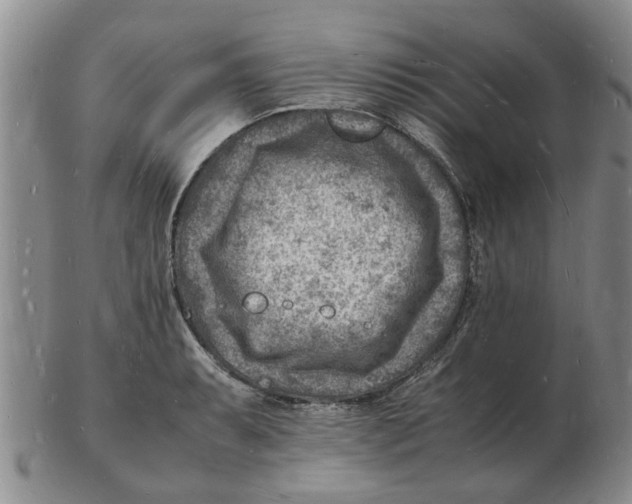 X0000102781087200809151057