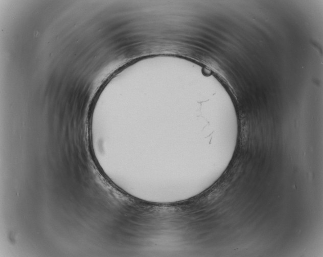 X0000102781088200809151057