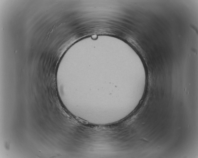 X0000102781089200809151057