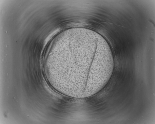 X0000102781090200809151057