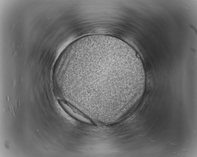 X0000102781091200809151057