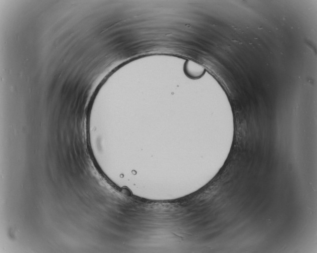 X0000102781092200809151057