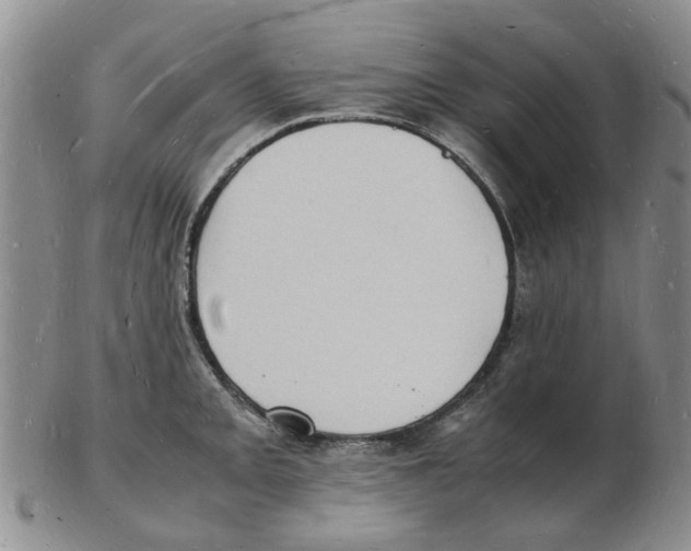 X0000102781093200809151057