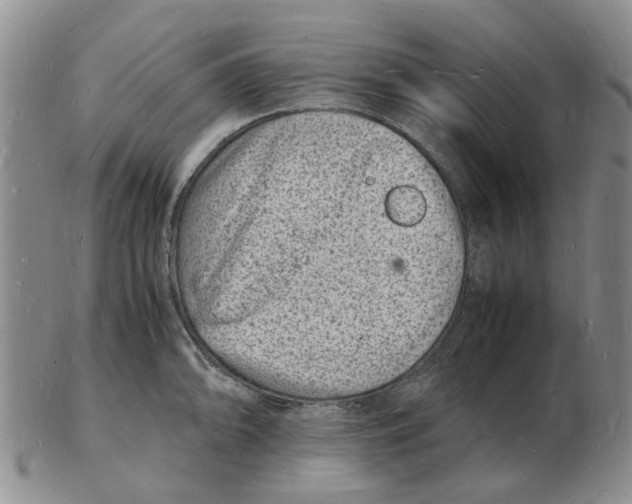 X0000102781094200809151057