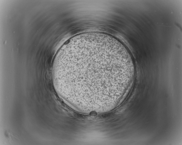 X0000102781097200809151057