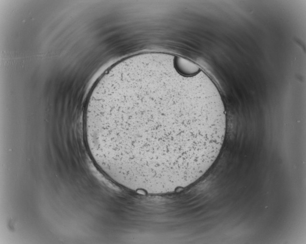 X0000102781100200809151057