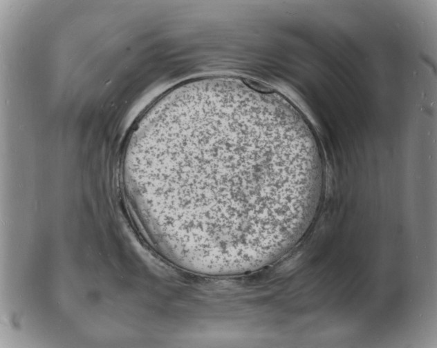 X0000102781101200809151057