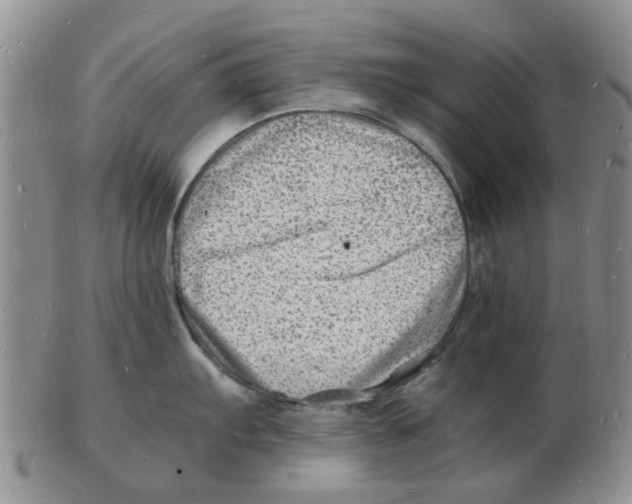 X0000102781103200809151057