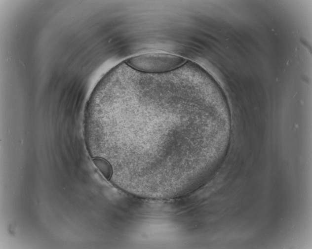 X0000102781104200809151057