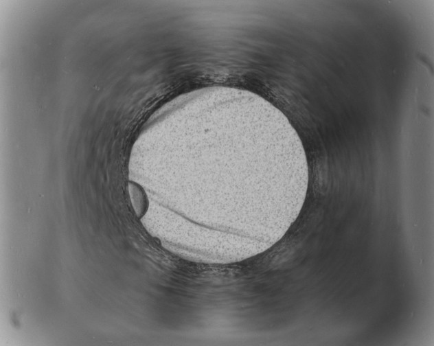 X0000102781105200809151056