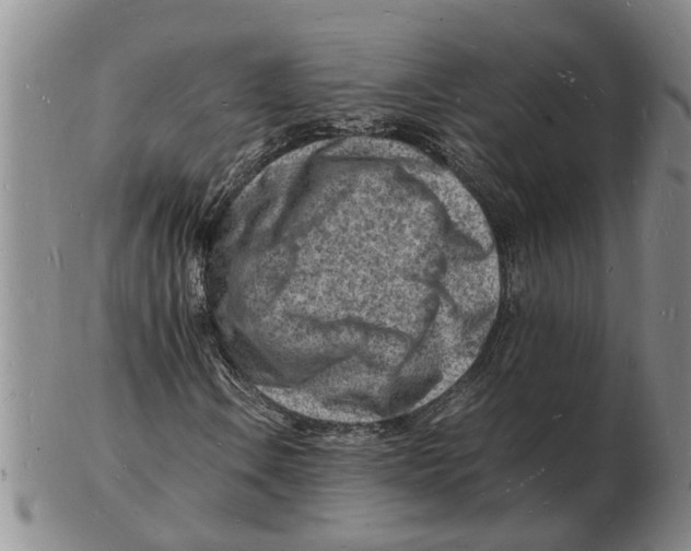 X0000102781106200809151056