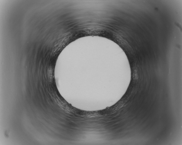 X0000102781108200809151056