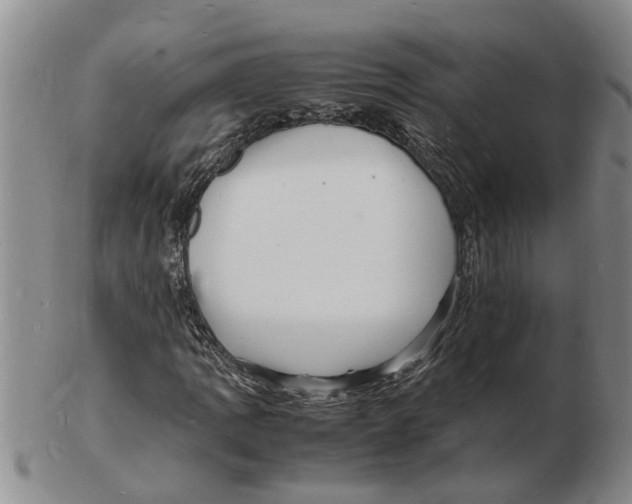 X0000102781109200809151056