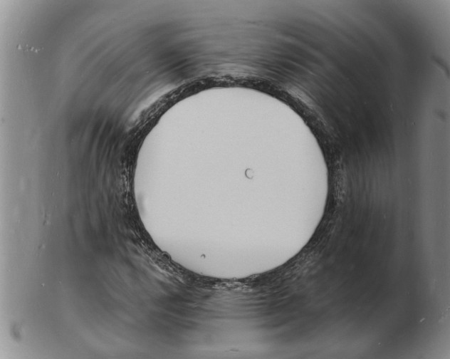 X0000102781112200809151056