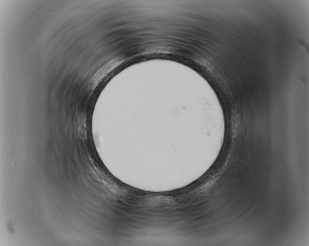 X0000102781113200809151056