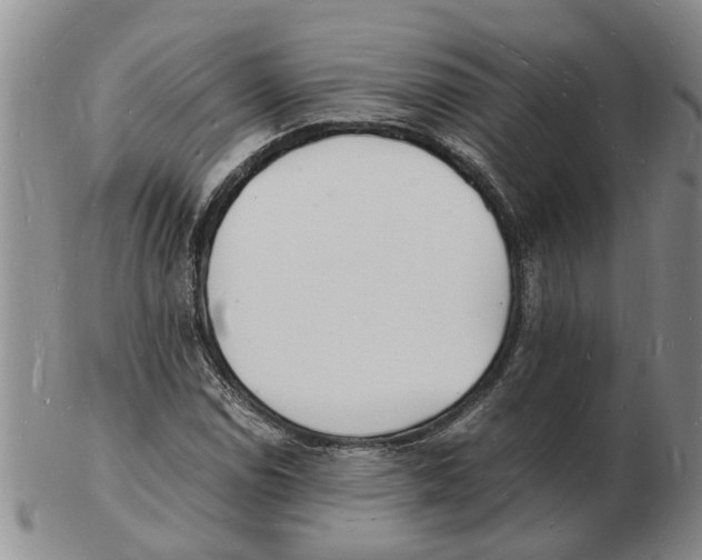 X0000102781114200809151056