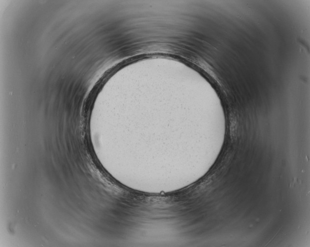 X0000102781116200809151056