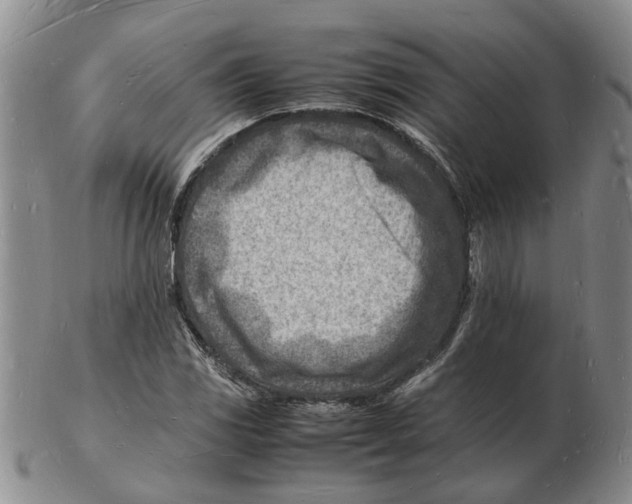 X0000102781117200809151056