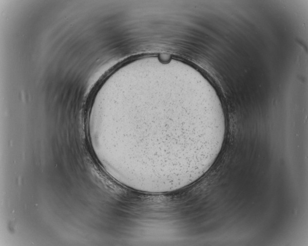 X0000102781120200809151056