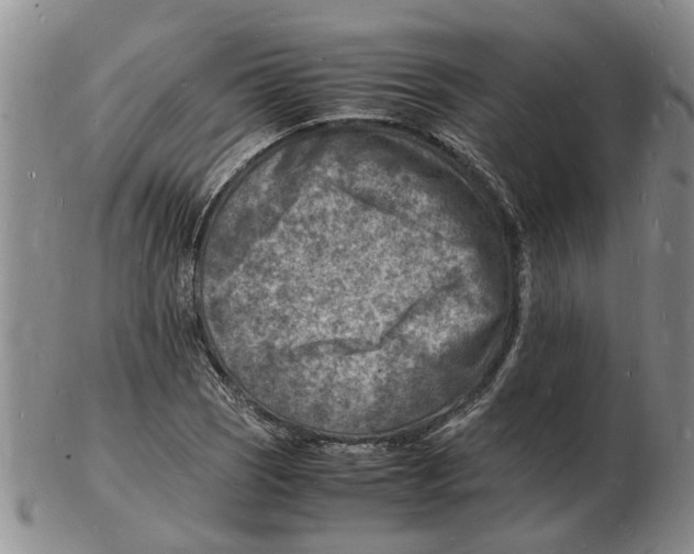 X0000102781121200809151056