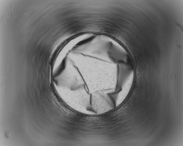 X0000102781123200809151056