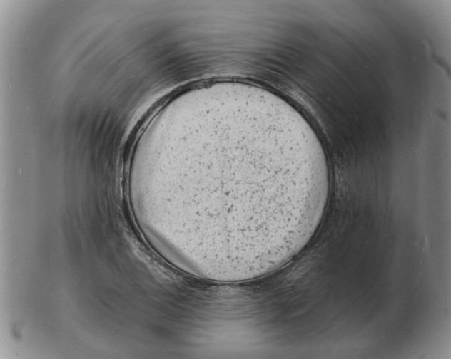 X0000102781124200809151056