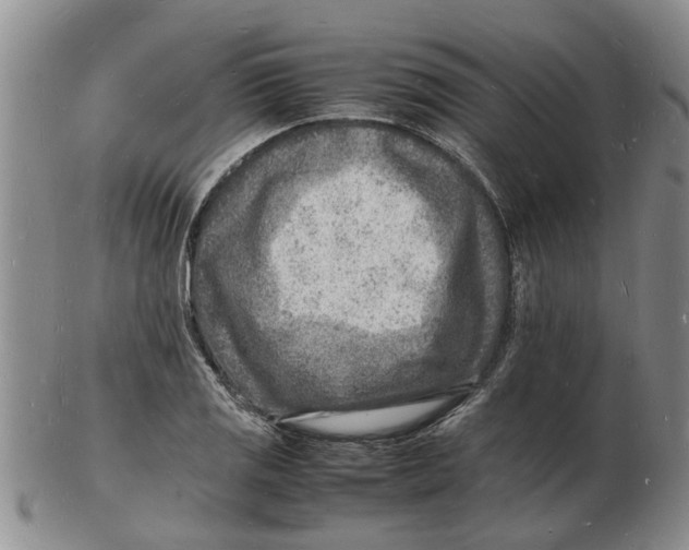 X0000102781125200809151056