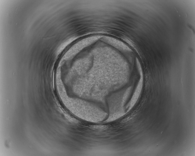 X0000102781127200809151056