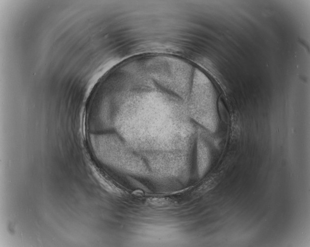 X0000102781128200809151056