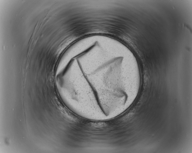 X0000102781129200809151056