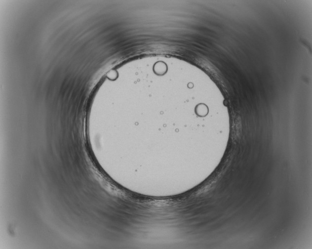 X0000102781130200809151056