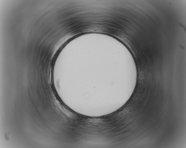 X0000102781131200809151057