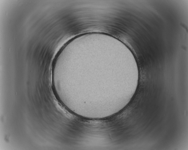 X0000102781132200809151057