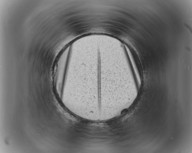 X0000102781133200809151057