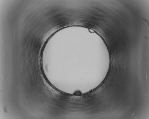 X0000102781135200809151057