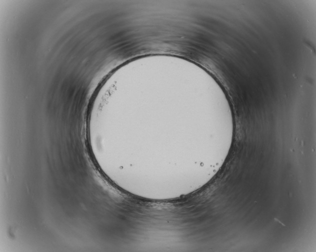 X0000102781136200809151057