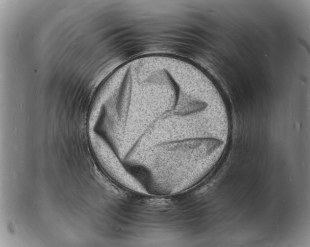 X0000102781137200809151057