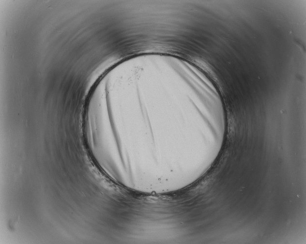 X0000102781138200809151057